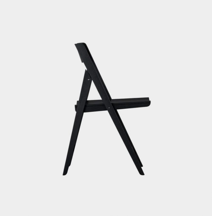 Albert Einstein Genzus